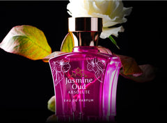 🌸 Habeebi Jasmine 50ML – The Essence of Romance & Royal Floral Luxury 👑✨